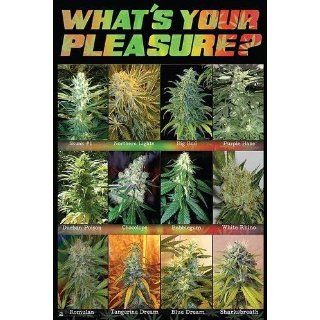 Cannabis Sorten Poster Whats Your Pleasure   Poster Großformat