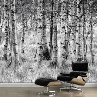 Fototapete Birkenwald Raster   360 x 250 cm Küche