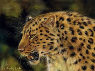 Original PASTEL painting Leopard Big CAT Wildlife Pastell Portrait