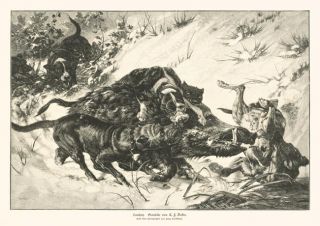 Sauhatz Jagdbild von Deiker 1889 Hanfstängl Hunde Faksimile 219 auf