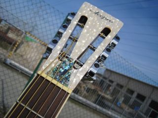 TRICONE DOBRO RESONATORGITARRE* CUSTOMIZED BY WELLER 