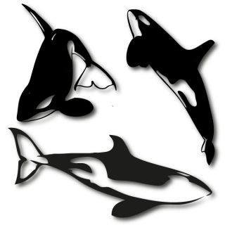 XXL Tieraufkleber **Orcas** Wandtattoo Schwertwal Killerwal