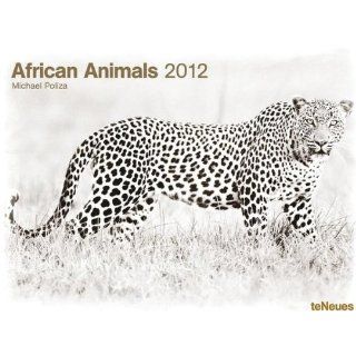 Kalender African Animals 2012 Michael Poliza Wandkalender 