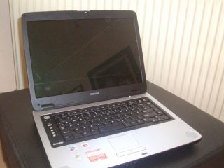Toshiba Satellite M40X 295 PC Laptop Netbook Notebook PC Computer