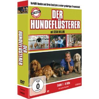 Der Hundeflüsterer   Staffel 1 von Cesar Millan (DVD) (74)
