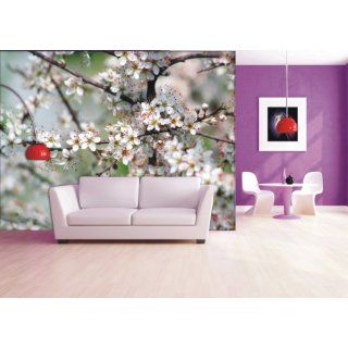 Fototapete Kirschblüten   Größe 360 x 270 cm
