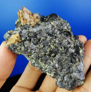 Fine Mineralien Selten Genthelvine,Magnetit~ Inner Mongolia
