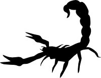 Scorpion Skorpion scorpid Reptilien Sticker Decal Decals Spinne