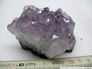 Amethystdruse,Geode,Druse,Edelstein,Kristall, 0,4kg / 424/ Stk.