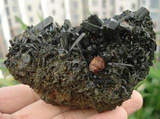 TOP Mineralien Terminated Grün Epidot & Almandin Granat ~ Handan