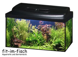FIF60 Aquarium Komplett SET 54 Liter inkl. Innenfilter & Heizer