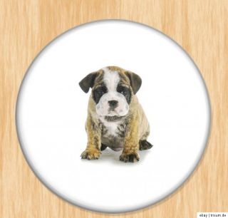 Bulldoggen sehr süß verschiedene Motive AUSWAHL Button, Magnet