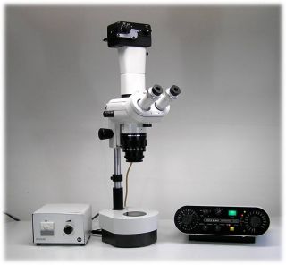 das Makroskop ist mit einer Vorsatzlinse 0,5x ausgestattet, somit