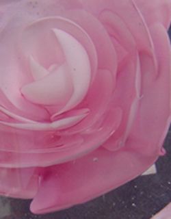 Paperweight Herz Briefbeschwerer m. rosa Blume Rose