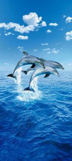 Fototapete 3 DELFINE 86x200 springende Delphine Ozean Dolphins Delfin