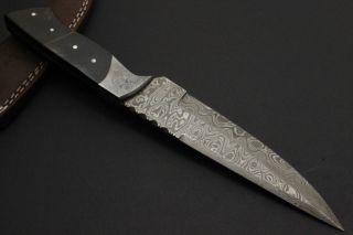 Atemberaubend Seltenen Benutzerdefinierte Messer Entworfen Und