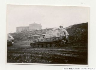 originales Foto ( 6,1 x 8,4 cm ) aus dem 2. Weltkrieg, Versandkosten