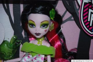 Monster High Schneebisschen   Snowbite X4484 Märchen Monster