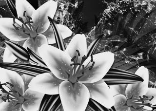 Lilien, Leinwand Bild, 3 teilig, 60x40   120x80 cm