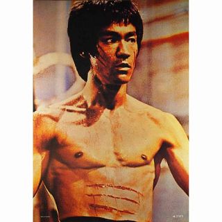 Bruce Lee Poster, Die Legende, Kung Fu Master, NEU