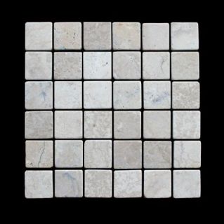Fussboden Mosaik Fliesen Marmor Weiß 5 x 5 RS PA 803   1 qm