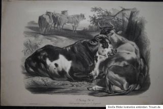 JOSEPH ZEPHYRIS GENGEMBRE LHerbage Weidende Kühe um 1840 Imp