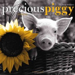 Precious Piggy David Mcenery 2012 Calendar (Calendar)