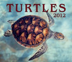 Turtles 2012 Calendar (Calendar)