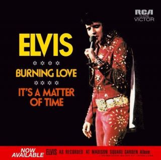 Presley, Elvis   Burning Love (Limited Edition) [Import]