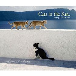 Cats in the Sun 2009 Calendar