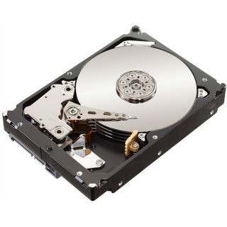 32 Mo   Interface SATA II 3.0Gb/s   Réf. ST32000542AS   Seagate