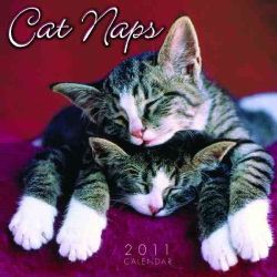 Cat Naps 2011 Calendar (Calendar)