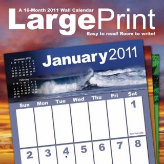 Large Print 2011 Wall Calendar