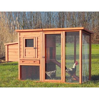 Trixie Pet Products Glazed pine Chicken Coop with Outdoor Run