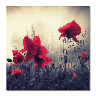 Philippe Sainte Laudy Red For Love Canvas Art