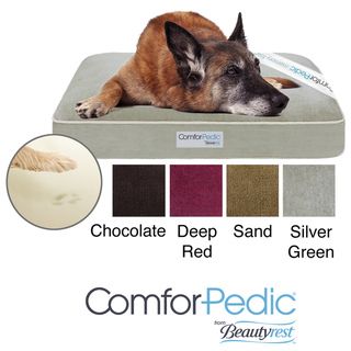 Simmons Comforpedic Deluxe Orthopedic Pet Bed (35 inches x 44 inches