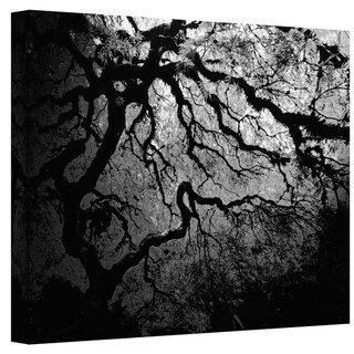 John Black  Japanese Ying and Yang Tree Gallery Wrapped Canvas