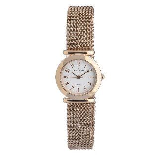 Skagen Womens 107SRR1 Quartz Stainless Steel Watch Watches 