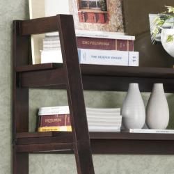 Aldosa Ladder Desk and Shelf