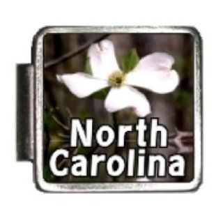 North Carolina State Flower American Dogwood Photo Italian