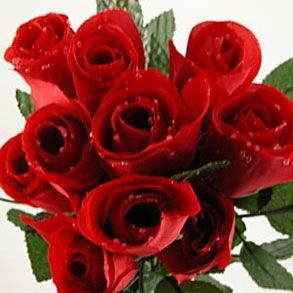 Artificial Red Silk Roses Toys & Games