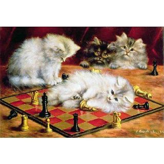 Puzzle 250 pièces Talboys Les chats à léchiquier   Achat / Vente