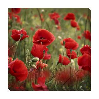 Poppies Oversized Gallery Wrapped Canvas