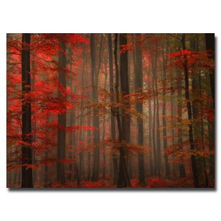 Philippe Sainte Laudy Enchanting Red Canvas Art