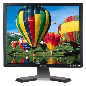 19 Dell E196FPb LCD Monitor (Black) Computers