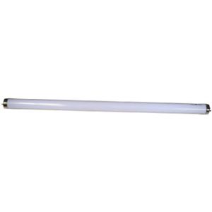 Lights of America RB17T8 17W CW BRT Stick Bulb