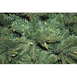 Good Tidings Pacific Pine 7 ft Artificial Prelit Christmas Tree