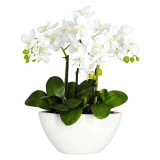 Phalaenopsis Orchid Silk Flower Arrangement