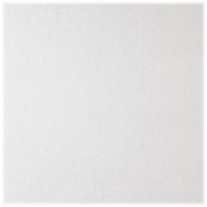 Usg Interiors 380 2x4 Stonehrst Ceil Tile, Pack of 8