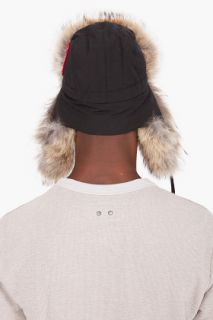 Canada Goose Black Coyote Fur Aviator Hat for men